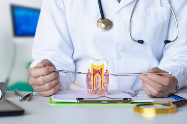 Best After-Hours Emergency Dentist in Nokomis, FL